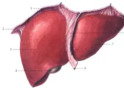 f抙眽6H┚;寭wō?h??b肋N55€嫭.x褧珩指y??u~6伽?v?>-韘??X鲼庸v阼>俸i$_逕的简单介绍-九游体育